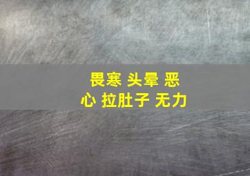 畏寒 头晕 恶心 拉肚子 无力